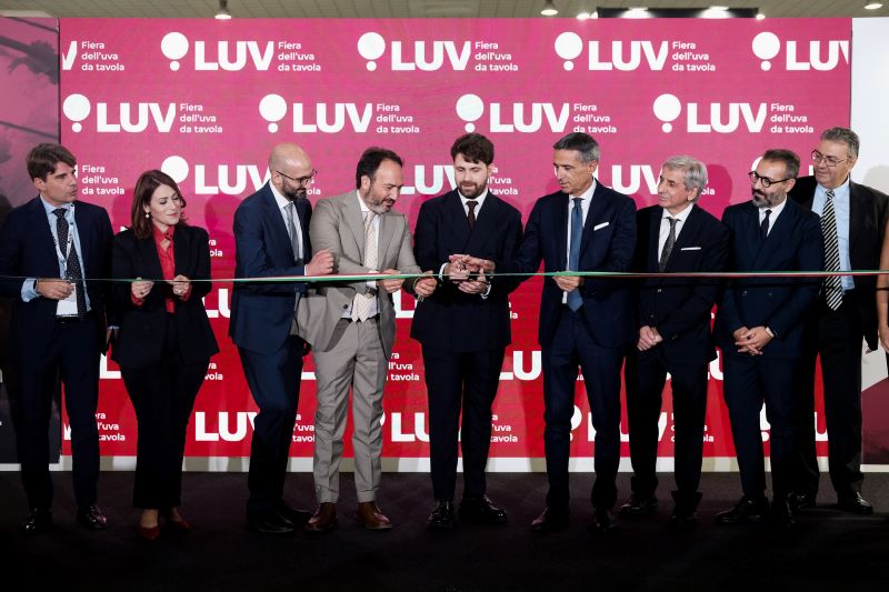 Galleria LUV fiera, dal 22 al 24 ottobre la prima fiera di filiera dell’uva da tavola a Bari - Diapositiva 2 di 6