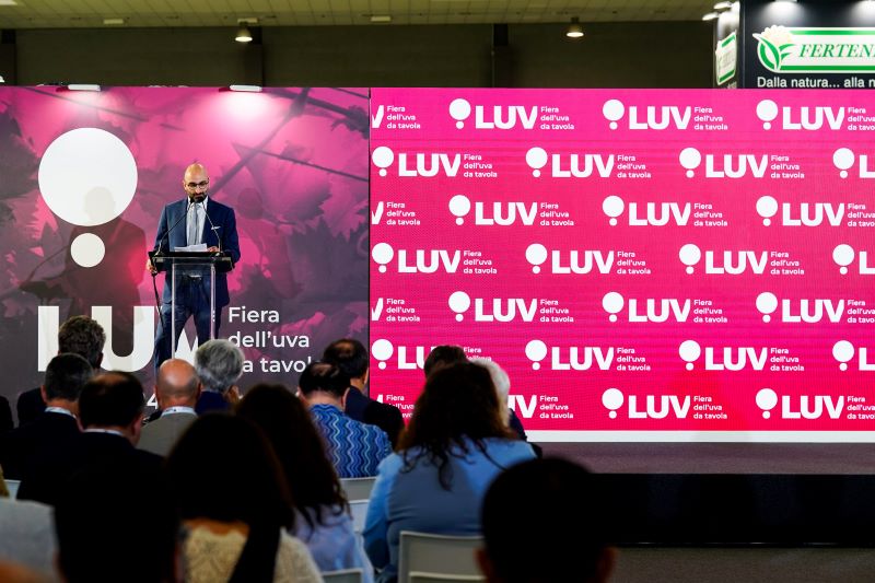 Galleria LUV fiera, dal 22 al 24 ottobre la prima fiera di filiera dell’uva da tavola a Bari - Diapositiva 4 di 6